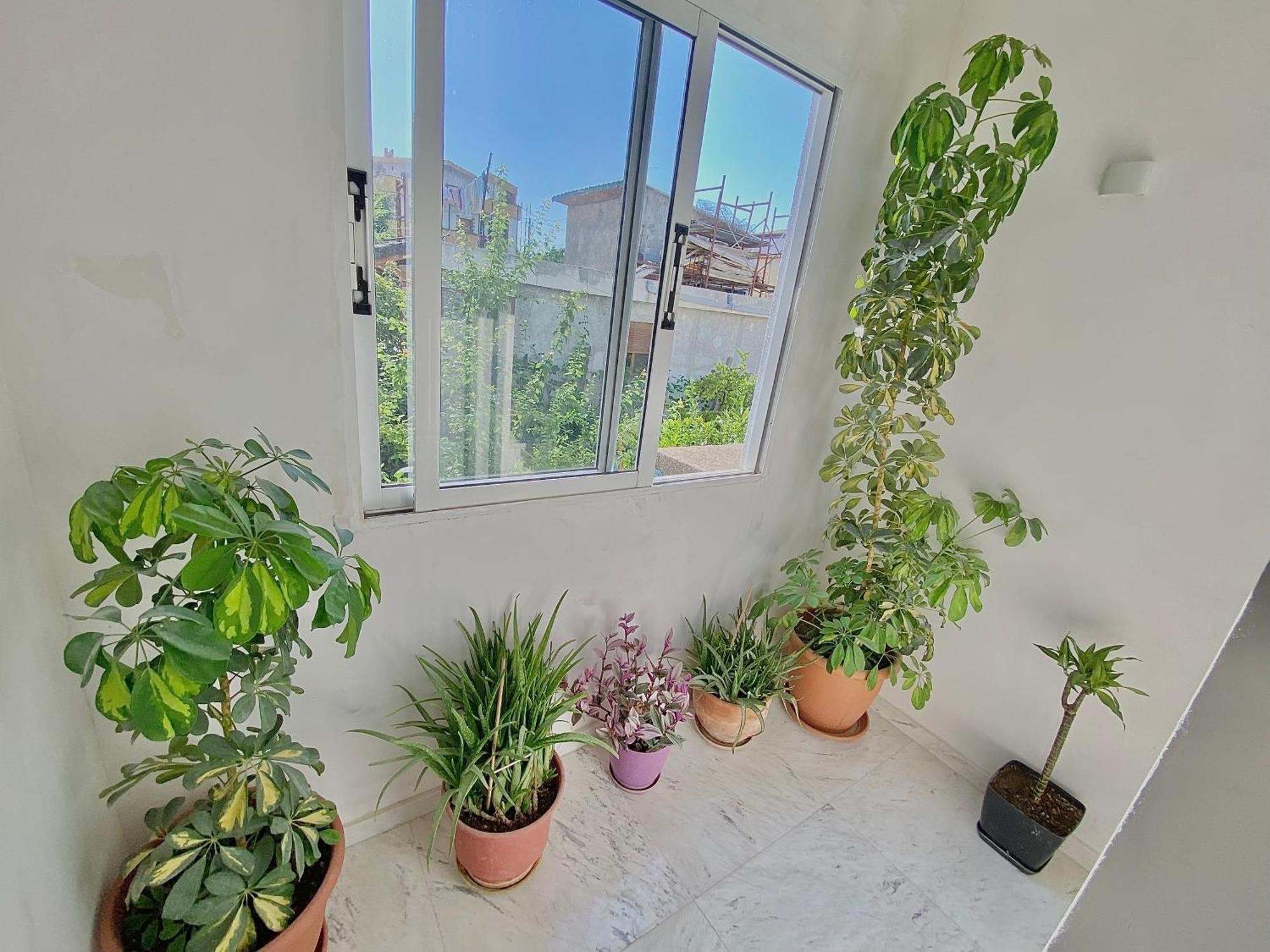 Floor 1 * Vlorë