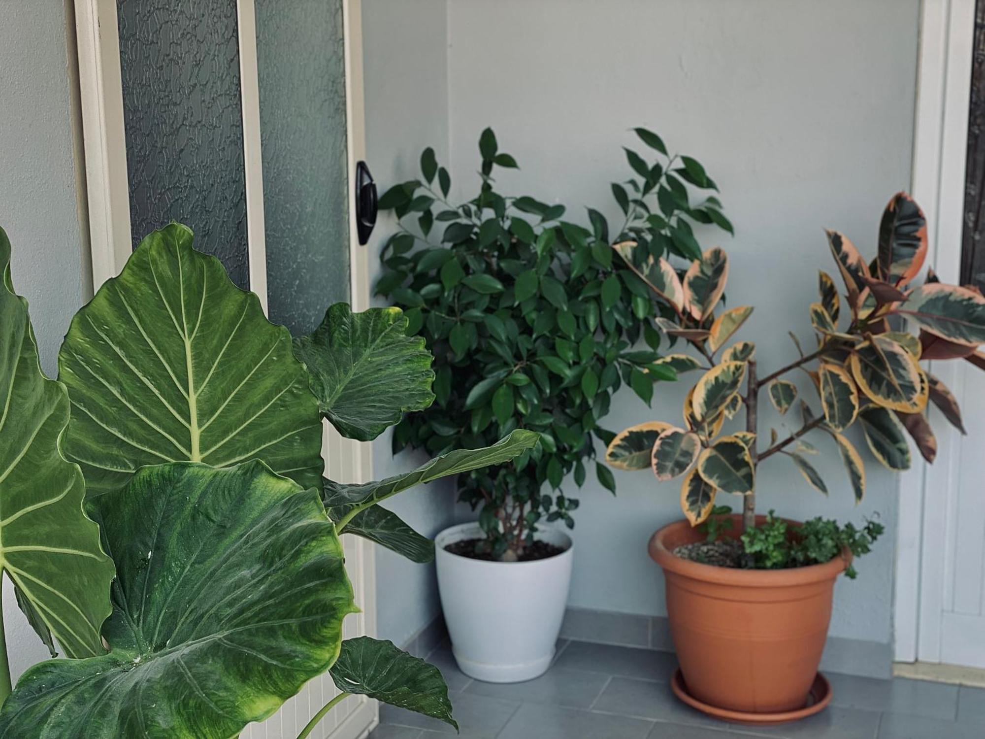 Apartamento Floor 1 *